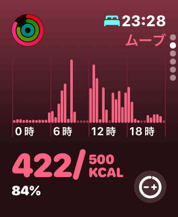 運動の記録